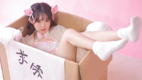 汽水音乐节佛山站